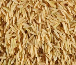 Sharbati Brown Rice Manufacturer Supplier Wholesale Exporter Importer Buyer Trader Retailer in Nagpur Maharashtra India